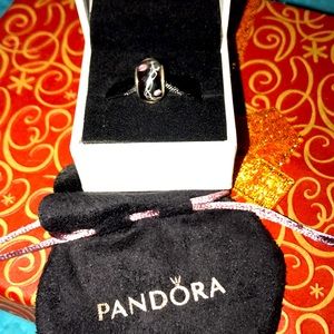 Nice Pandora Charm Bead Comes in a Pandora Pouch